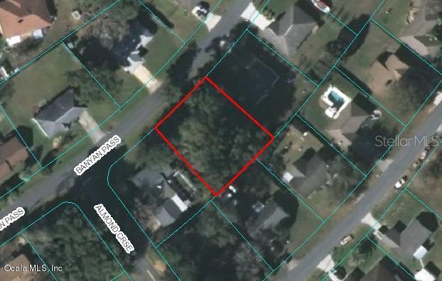 Banyan Pass, Ocala, FL 34472