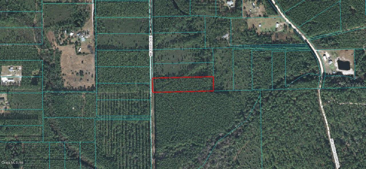 NE 130th Ave., Orange Springs, FL 32182