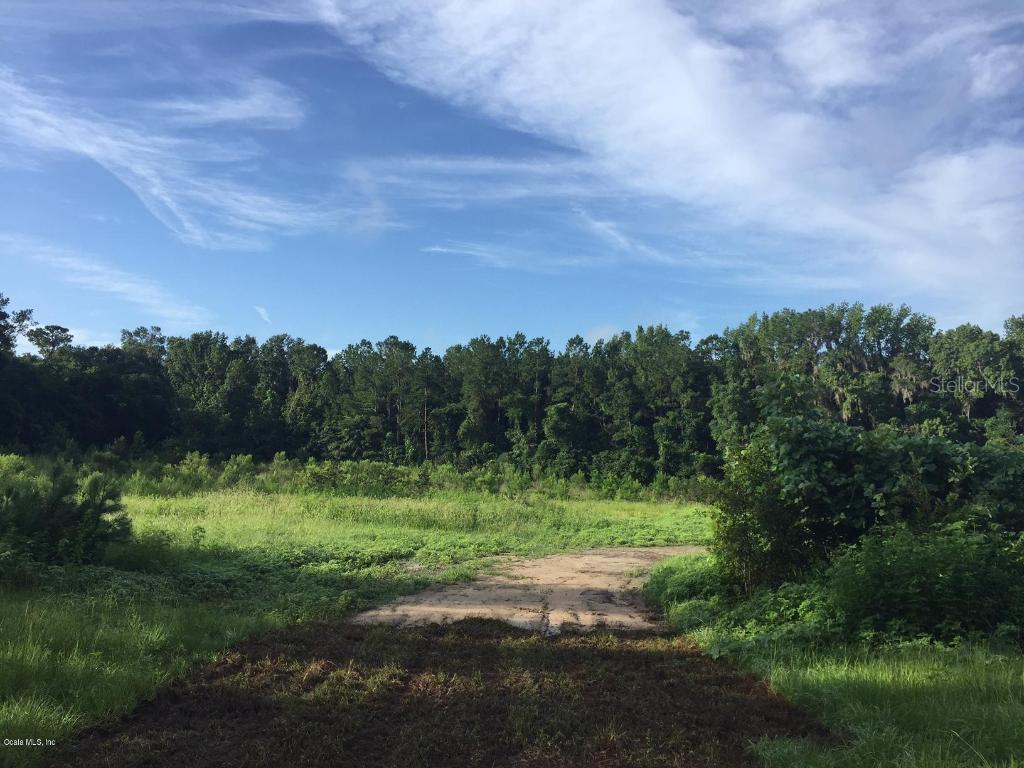 1 NW Hwy 225 & Cr 316, Fairfield, FL 32643