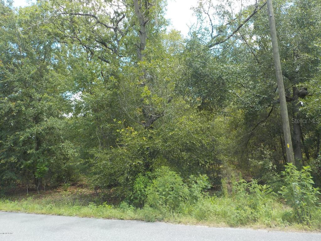 SE 162 Pl., Summerfield, FL 34491