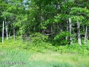 00 SW 34 Court Rd., Ocala, FL 34473