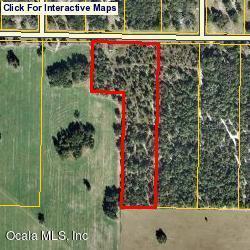 NE 75 St., Williston, FL 32696