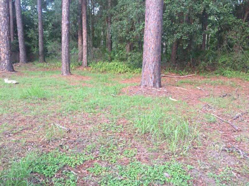 4225 NE 17th Ter., Gainesville, FL 32609