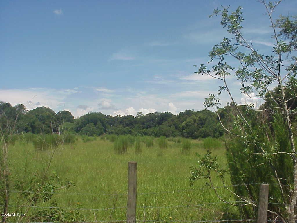 NE 7th Ave., Ocala, FL 34479
