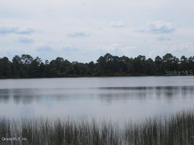 Maluaka Radial, Ocklawaha, FL 32179