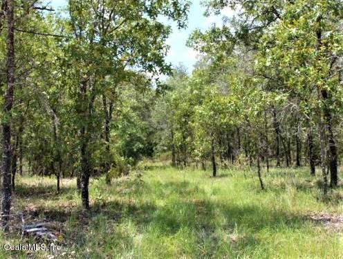 3830 NE 127 Ct., Williston, FL 32696