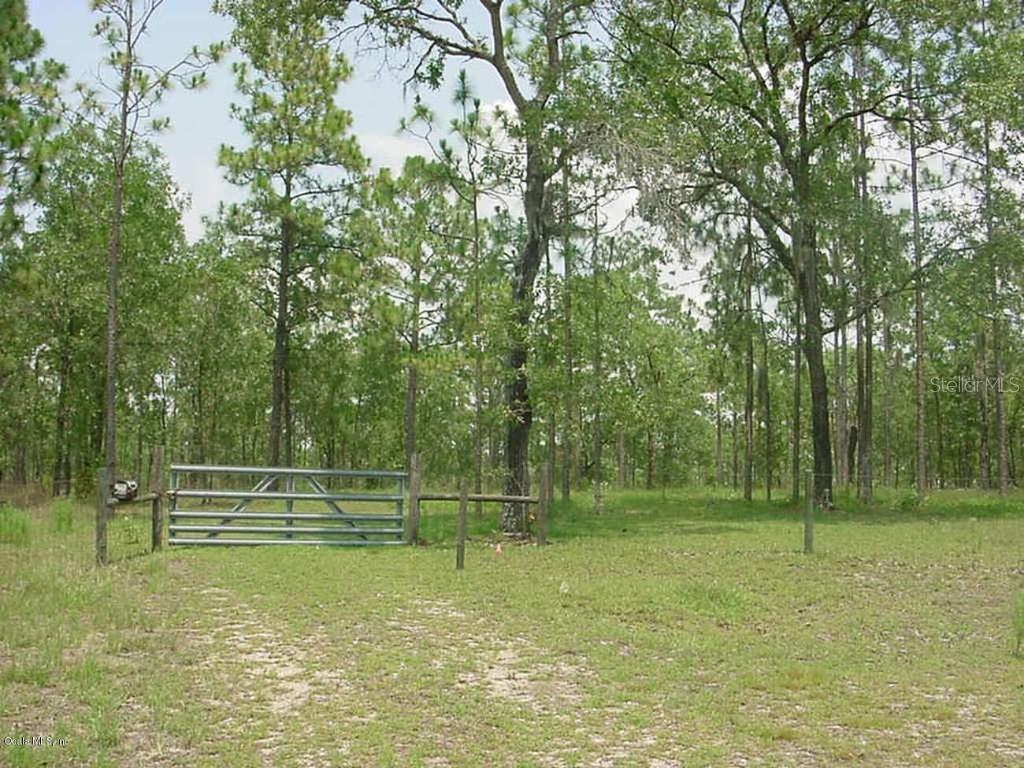 TBD SE 67th Ter., Williston, FL 32696