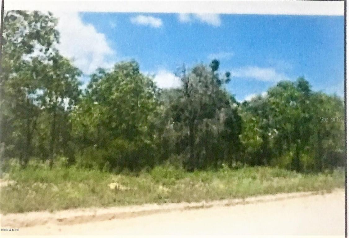 TBD NE Tbd 38 Pl., Williston, FL 32696