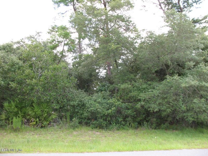 TBA SW Tba 30 Terrace Rd., Ocala, FL 34473