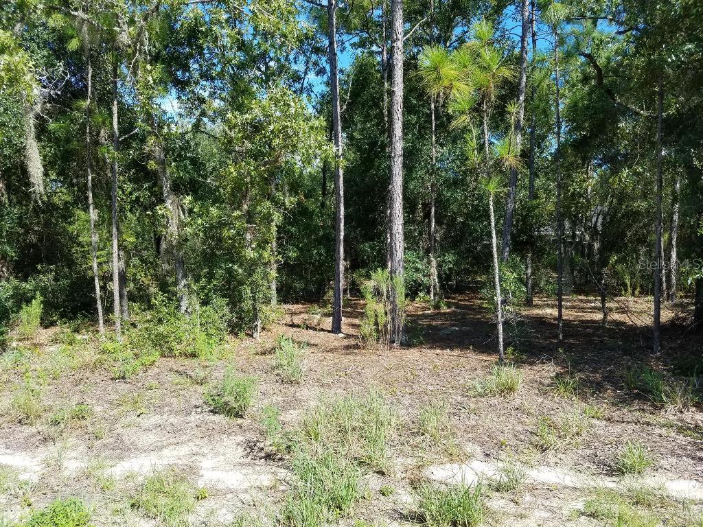 Lot 9 Locust Ln., Ocala, FL 34472