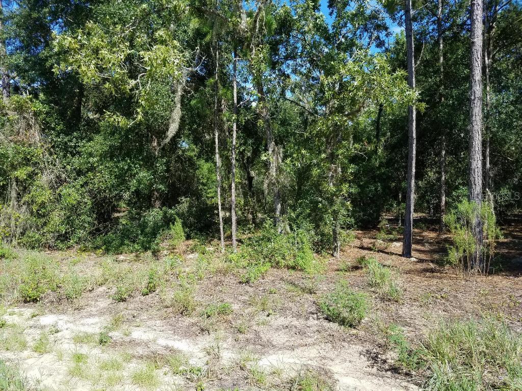 Lot 10 Locust Ln., Ocala, FL 34472
