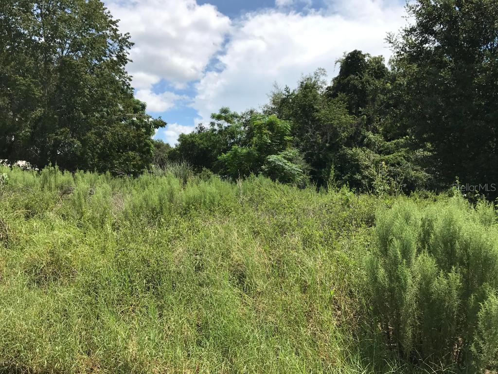 00 SE 61st Ave. #15, Summerfield, FL 34491