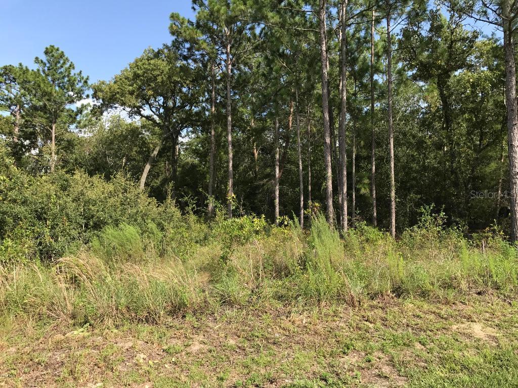 tbd Pine Ct Loop, Ocala, FL 34472