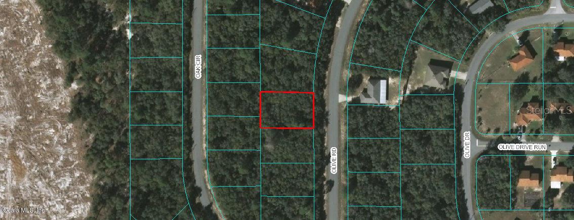 00 Olive Rd., Ocala, FL 34472