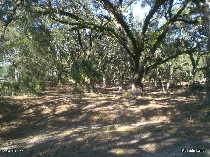 154acres NE 47 Ave., Anthony, FL 32617