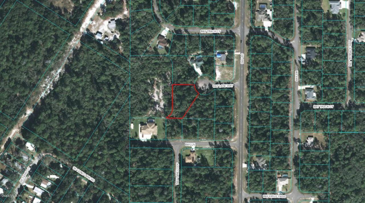 00 Bay Lane Way, Ocklawaha, FL 32179