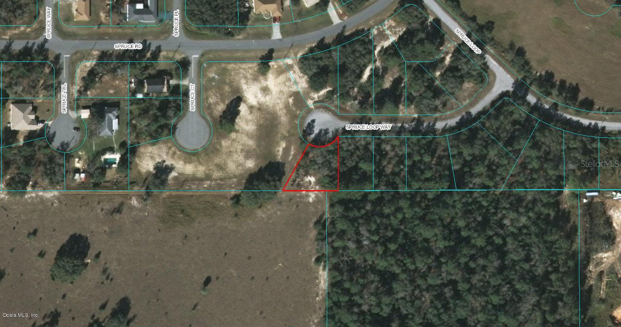 00 Spruce Loop Way, Ocala, FL 34472