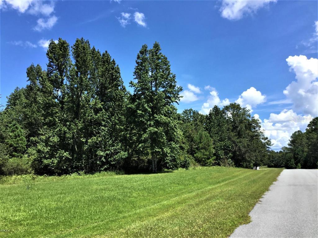 TBD NW 145 Ave., Williston, FL 32696