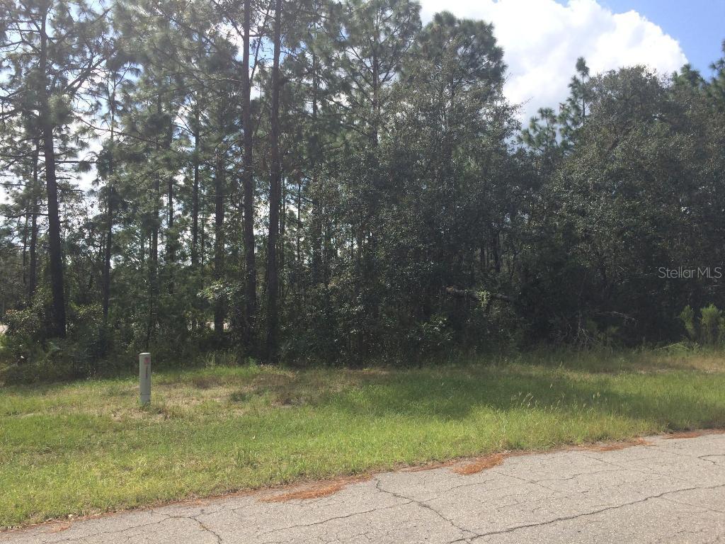 SW 78th Cir., Ocala, FL 34473