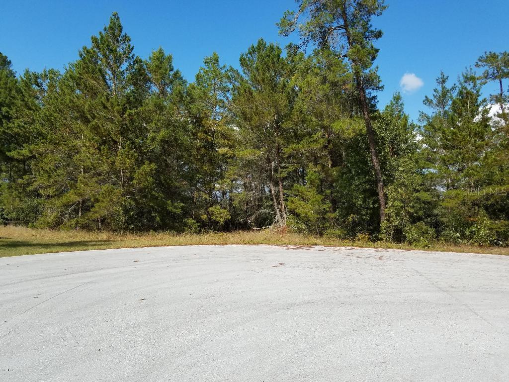 SW 44 Ter., Ocala, FL 34476