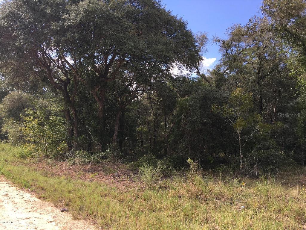 TBD NE 2nd St., Williston, FL 32696