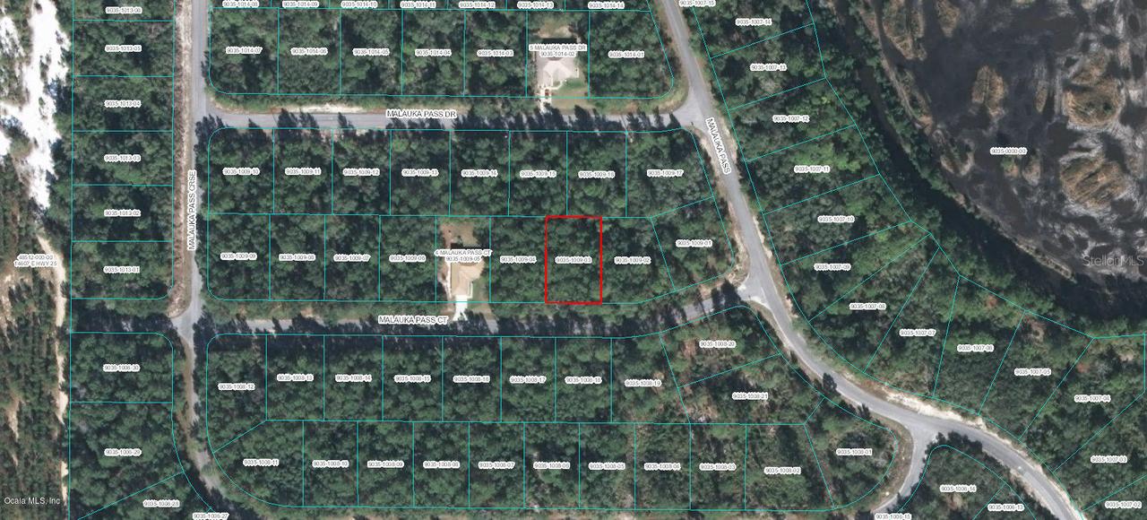 Malauka Pass Ct., Ocklawaha, FL 32179