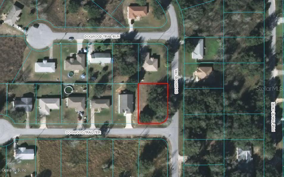 Dogwood Trail Ter., Ocala, FL 34472