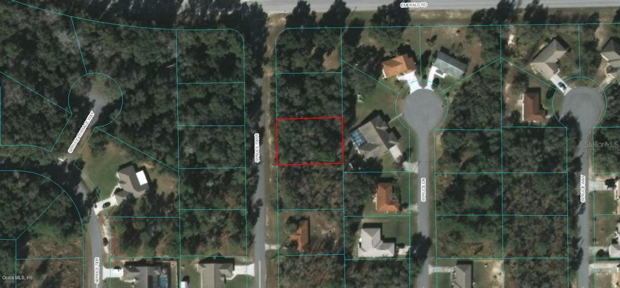 Spruce Ps, Ocala, FL 34472