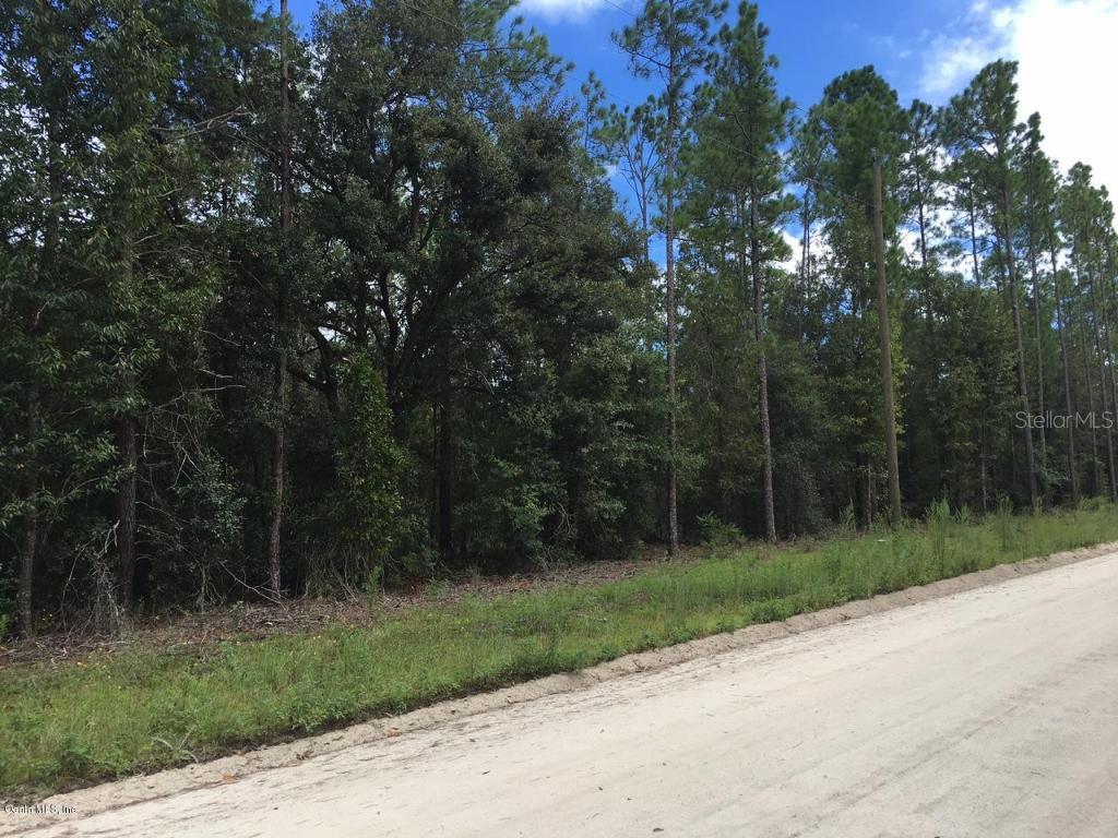 TBD NE 137 Ct., Williston, FL 32696