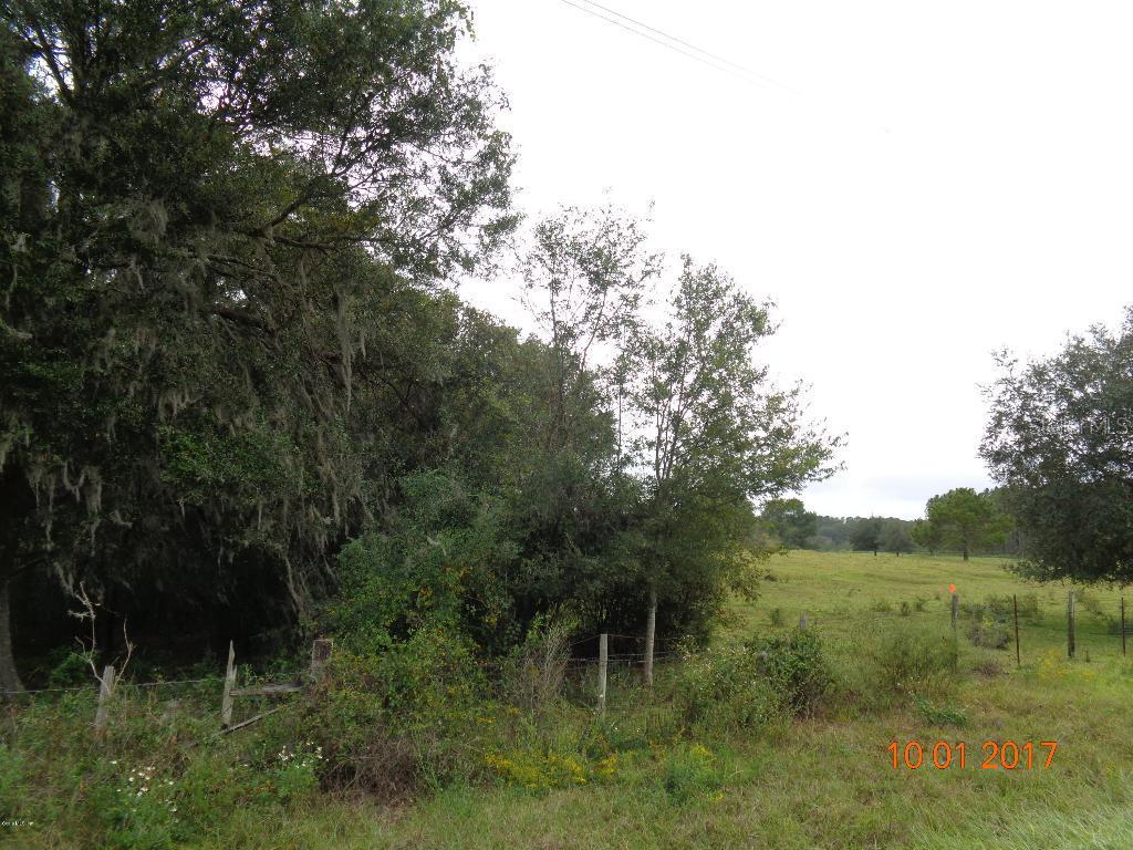 NE 167 Ct., Williston, FL 32696