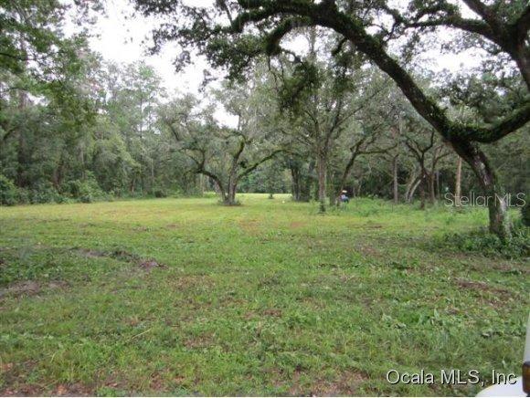 TBD SE Tbd Highway 464 C, Ocklawaha, FL 32179