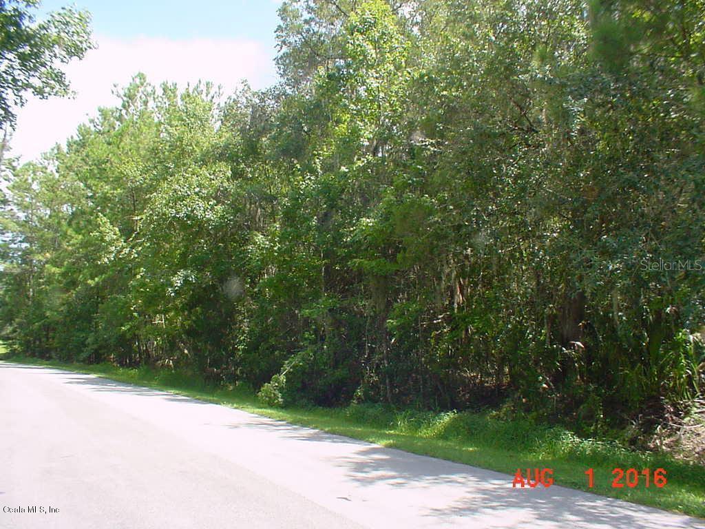 SW 61 Ln Rd., Ocala, FL 34471