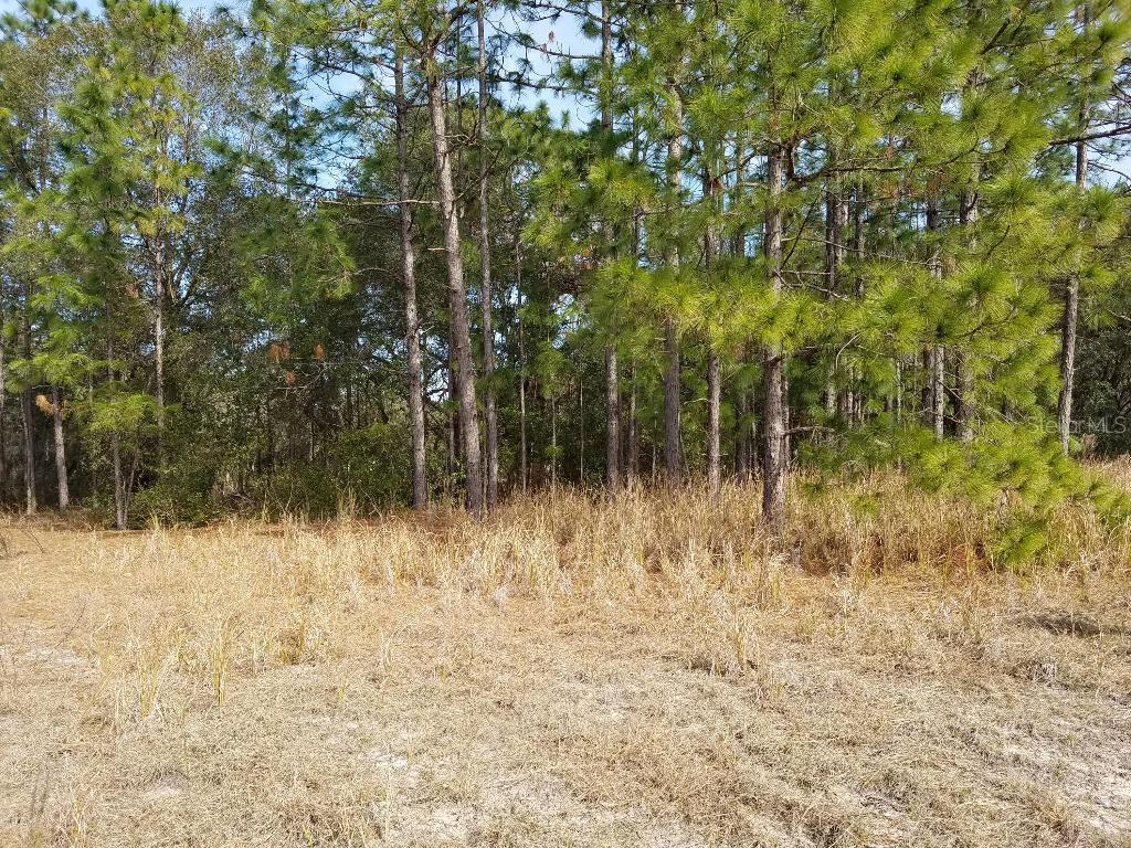 Lot 9 Locust Pass, Ocala, FL 34472