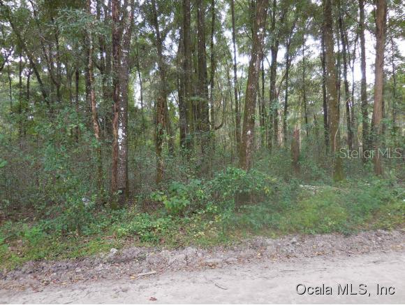 NE 40 St., Williston, FL 32696