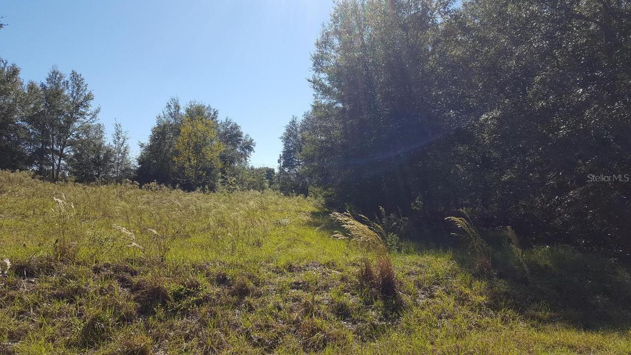 Locust Pass Run, Ocala, FL 34472