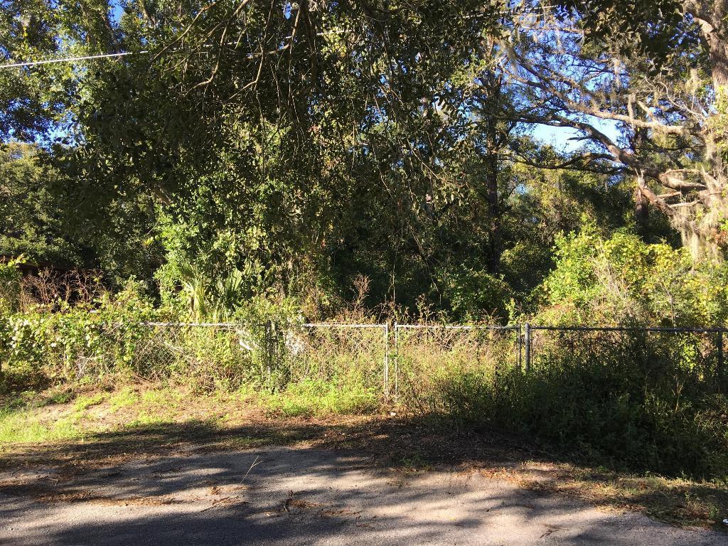 10371 SE 130th Pl., Ocklawaha, FL 32179