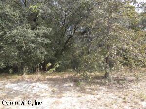 00 SW 172 Loop, Ocala, FL 34473