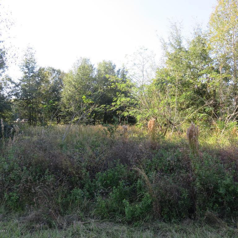 00 SE Pine Court Ln., Ocala, FL 34472