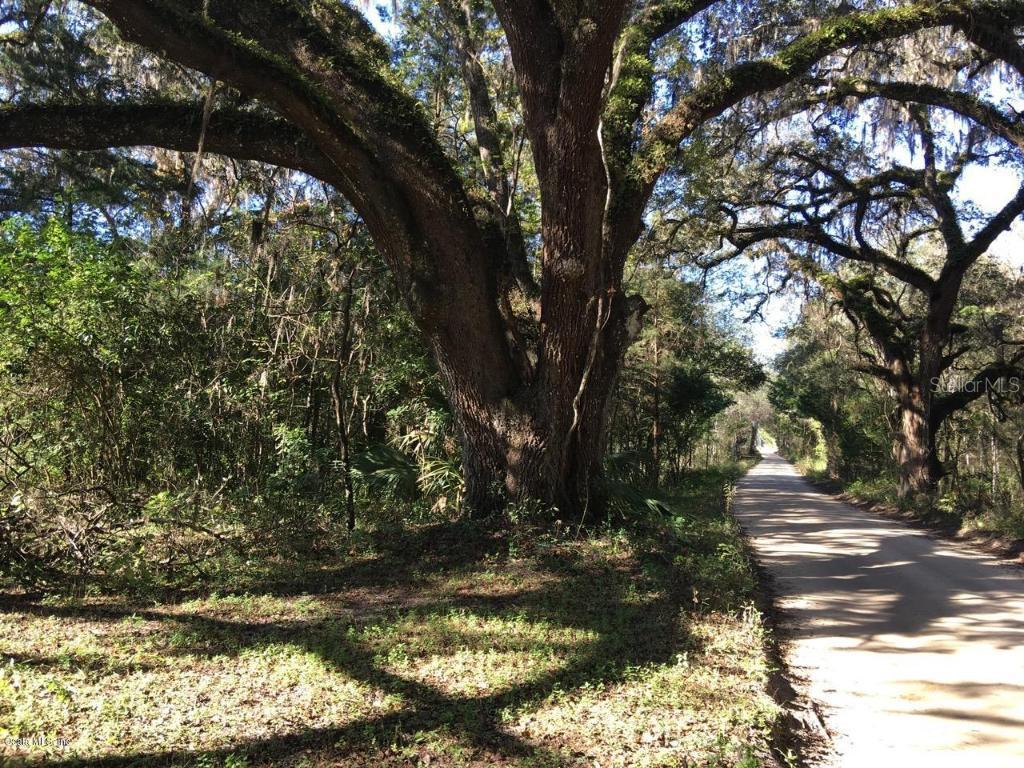 16354 NE 40th St., Williston, FL 32696