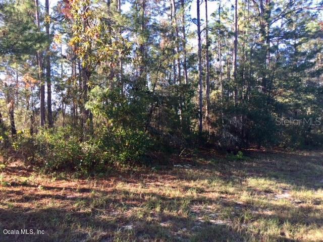 SW 150 Pl. #LOT 5, Ocala, FL 34473