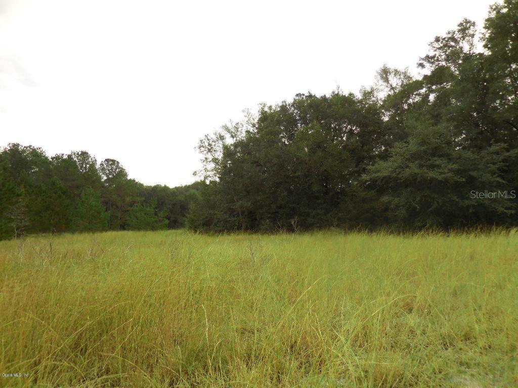 TBD NE 160 Ave & 5 Street, Williston, FL 32696