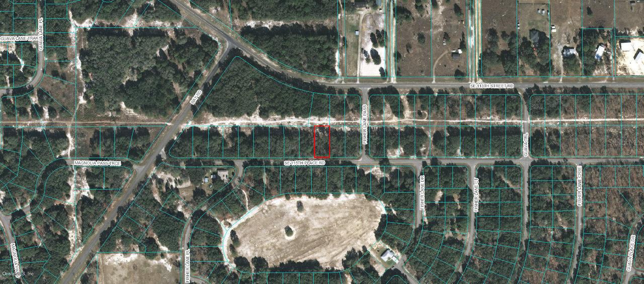 SE 115 Place Rd., Ocklawaha, FL 32179