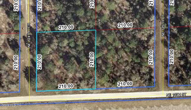 12451 NE 10th St., Williston, FL 32696