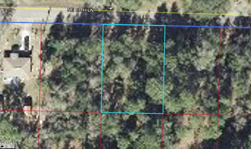 NE 13 Ln., Williston, FL 32696