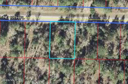 NE 13 Pl., Williston, FL 32696