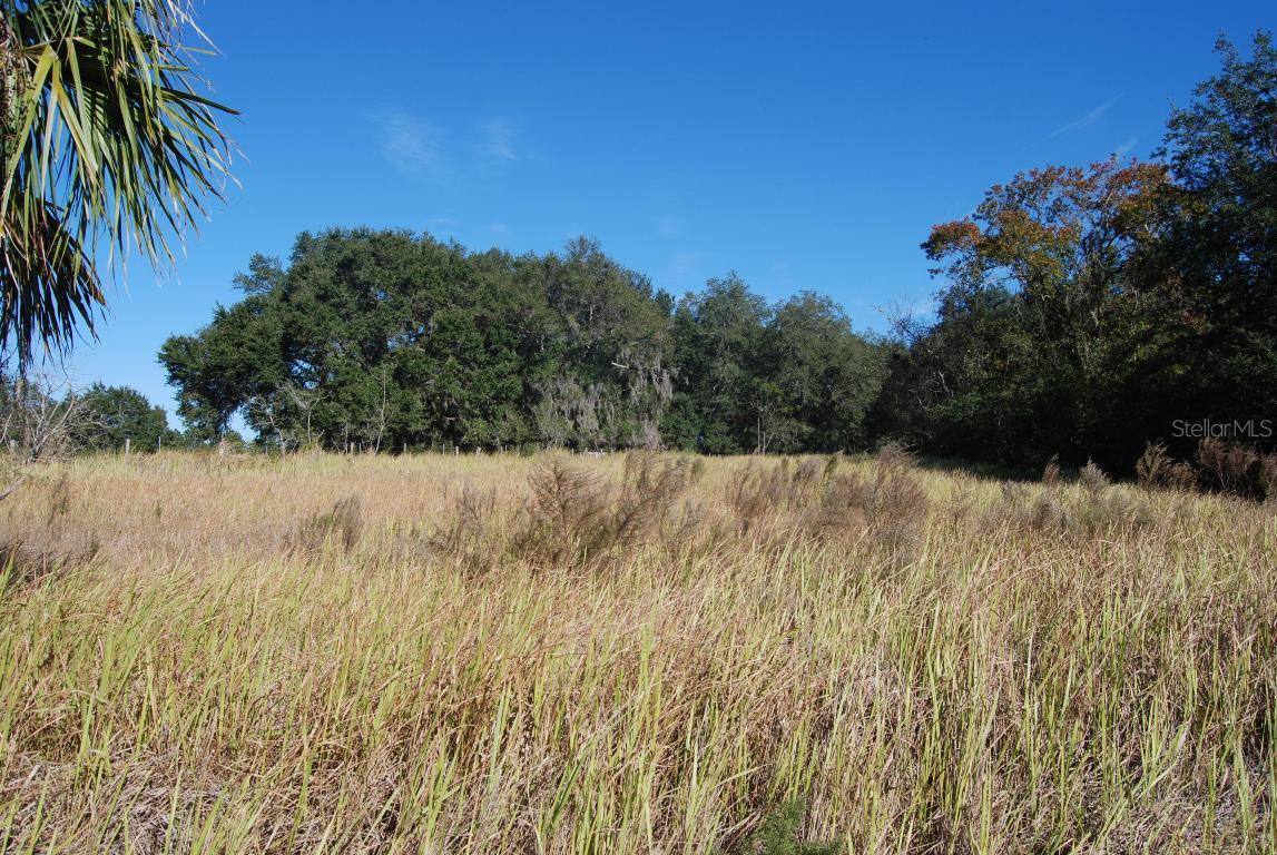 S Hwy. 441, Summerfield, FL 34491