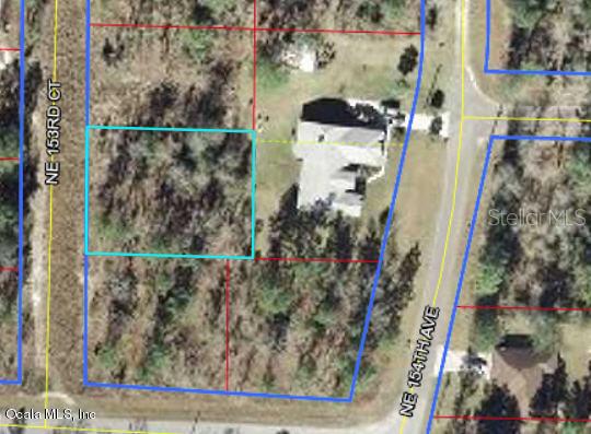 NE 153 Ct., Williston, FL 32696