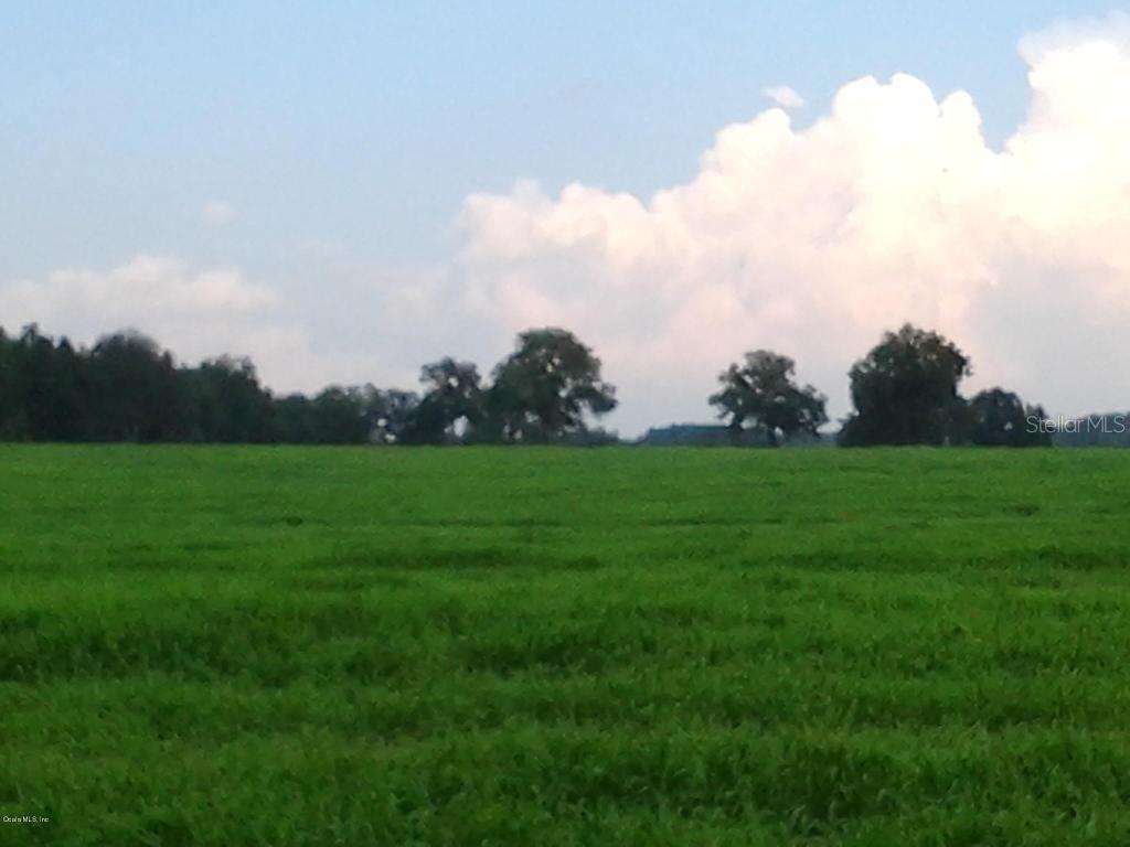 NE 75 St., Williston, FL 32696