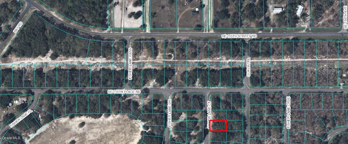 SE Fisher Lane Ct., Ocklawaha, FL 32179