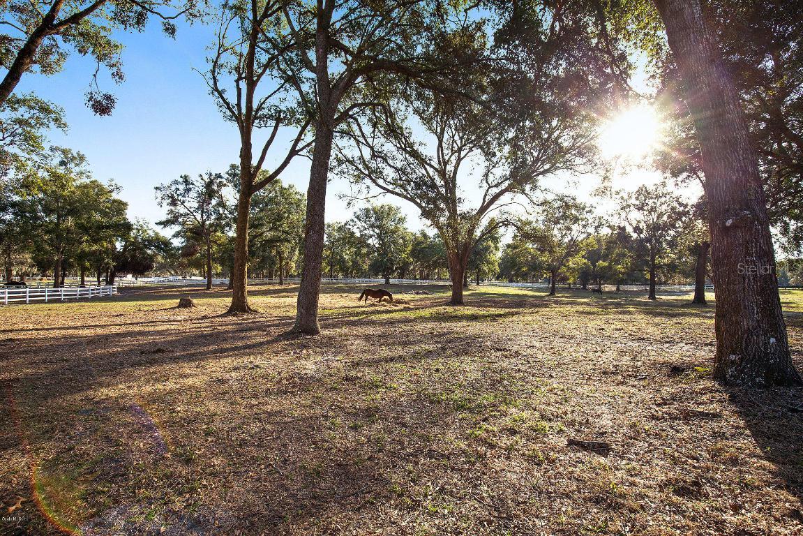 3600 SE Highway 42, Summerfield, FL 34491